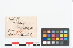 Etikett zu Spinnwirtel (NHMW-PRAE-025858)